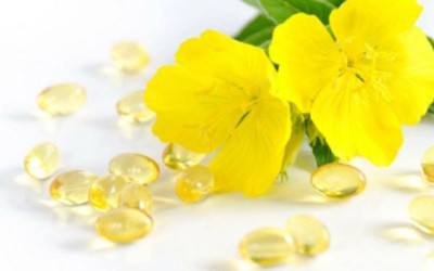 Ulje žutog noćurka