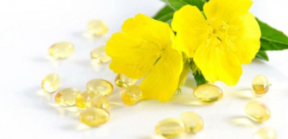 Ulje žutog noćurka