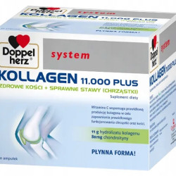 DH Kolagen 11000 plus amp