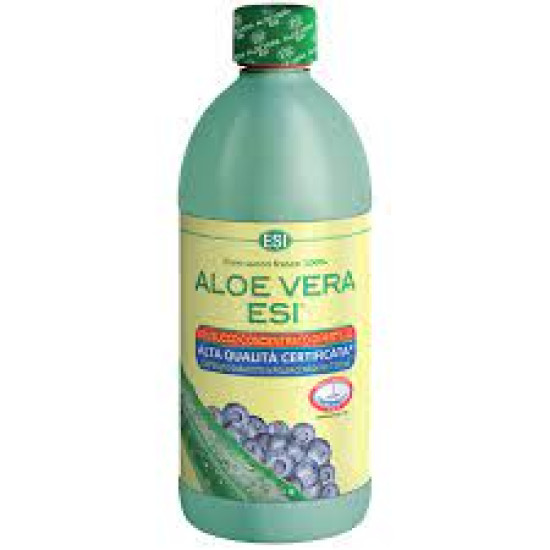 Aloe Vera Borovnica 1l