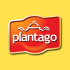 PLANTAGO